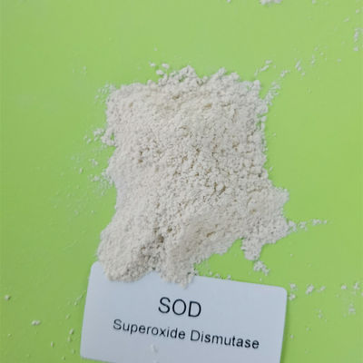 Superoxide van de voedselrang 50000iu/g Dismutase in Skincare 9054-89-1
