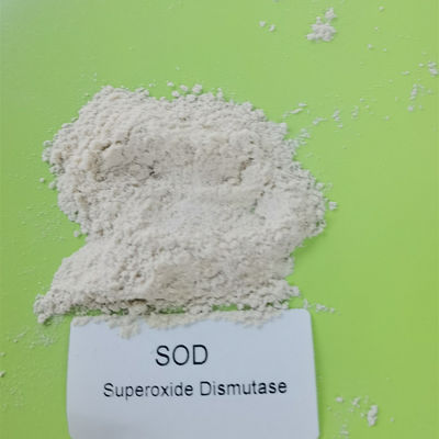 99% Superoxide van CAS 9054-89-1 Dismutase in Schoonheidsmiddelen