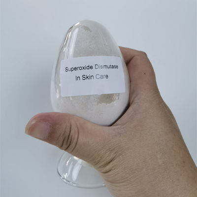 Superoxide van CAS 9054-89-1 Dismutase in Schoonheidsmiddelen 50000iu/g