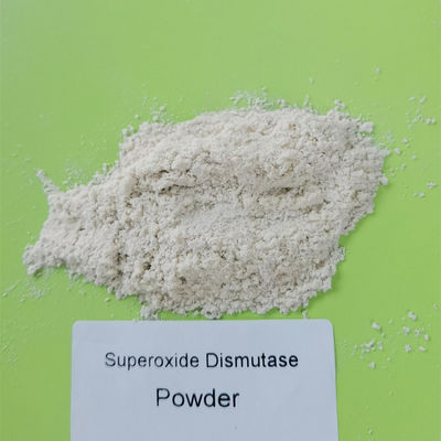 Phamaceuticaleinecs 232 943 0 Superoxide Dismutase Poeder met Enzymactiviteit 50000iu/g